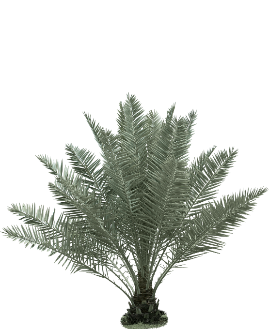 Web Invitation By Idzi